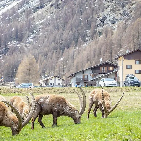 Gran Paradiso Szálloda 3*