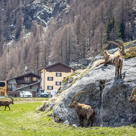 Gran Paradiso ヴァルサヴァランシュ