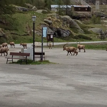 Hotel Gran Paradiso