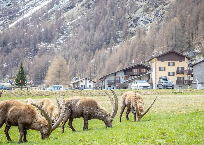 Gran Paradiso Hotel 3*