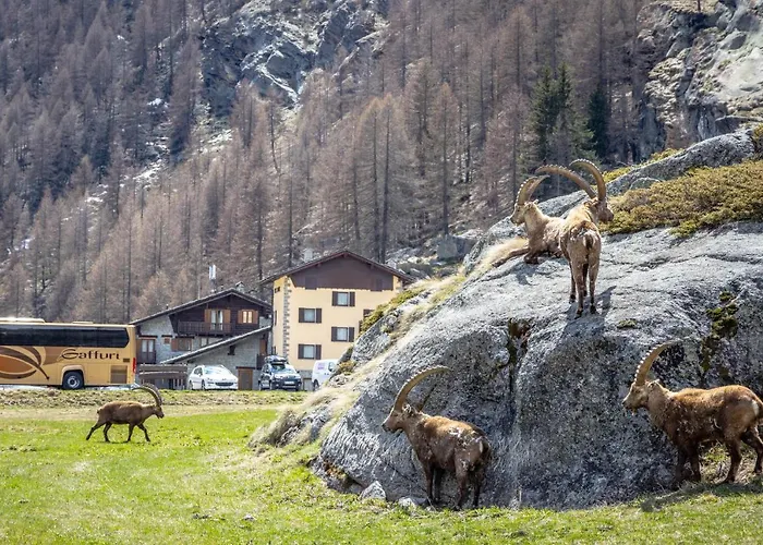 Gran Paradiso Valsavarenche